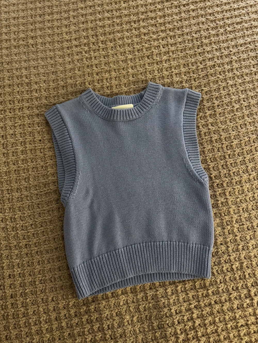 Aritzia Wilfred Alps Knit Sweater Vest in Soft Iris